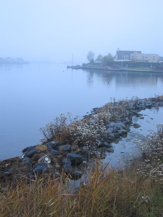 Voorblad boek: Het Goese Meer - 10 jaar in woord en beeld