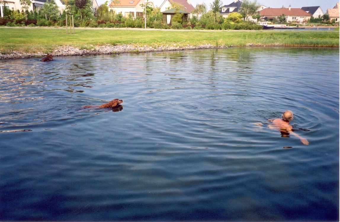 Samen zwemmen in het meer