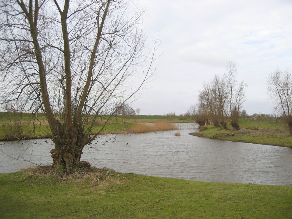 Overblijfsel van het Goesche Diep